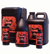 Holland Secret Bloom