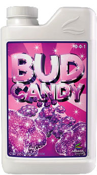Bud Candy (1 gal)