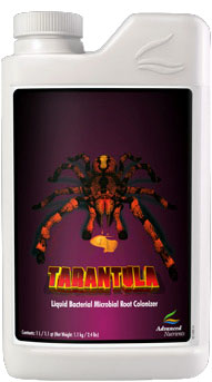 Tarantula Beneficial Bacteria