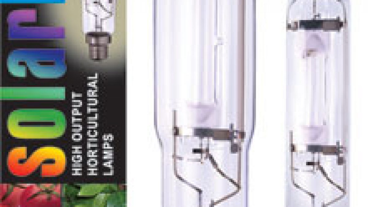 Solar MAX 600W MHライト