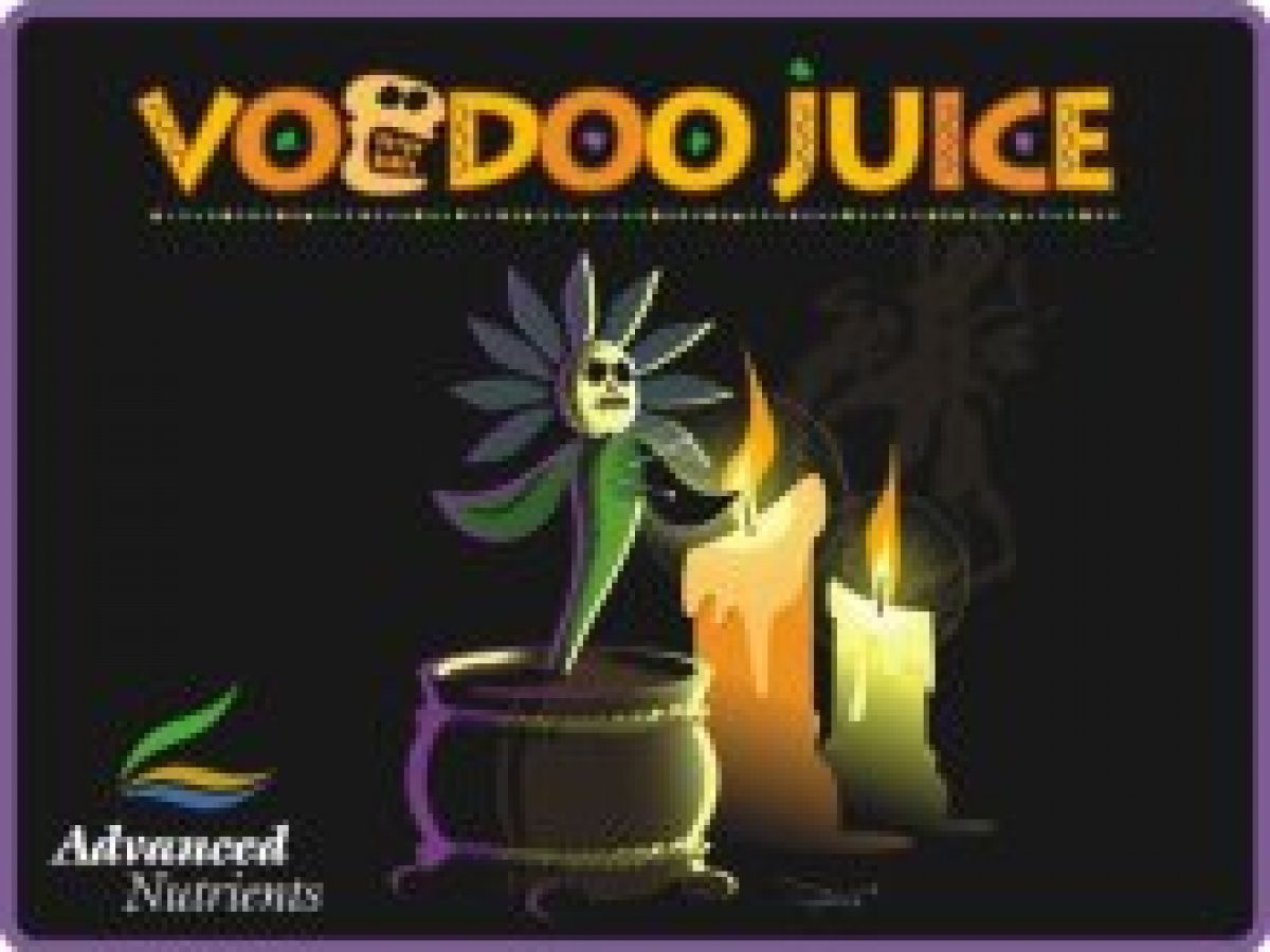 未開封　OZROSAURUS　JUICE　M.O.S.A.D & MACCHO Young Gunz / OZROSAURUS Feat. M.O.S.A.D., MAGUMA MC's - YouTube