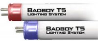 BADBOY HO Triphosphor Lamps