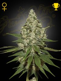 SKUNK