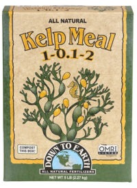 Down To Earth Kelp Meal - 20