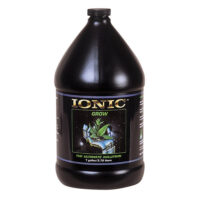 King's Juice (Feminised) Mimosa x King's Kush-5 Seed