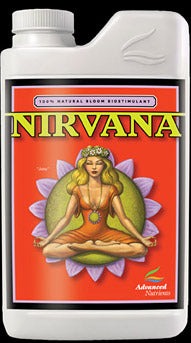 Nirvana