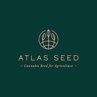 Blue Dream Auto – Seed Pack 8 pk