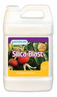 Silica Blast