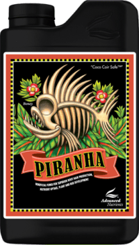 Piranha