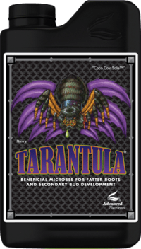 Tarantula