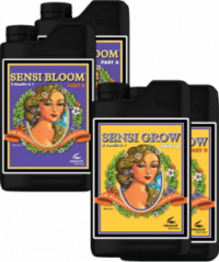 AN -pH perfect Sesi Bloom A-10L