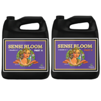 Connoisseur B 4L Bloom(pHP)