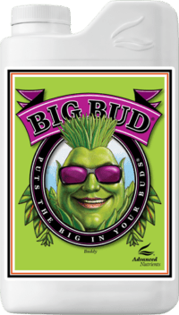 Big Bud