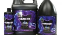 CALNESIUM /Cal & Mag Sup