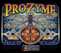 Prozyme 1 qt