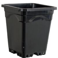 Beldon Square Black Pot 5X5X6