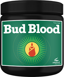Bud Blood - Image 2