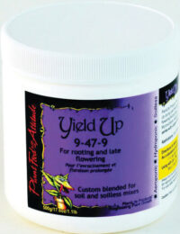 Black Toffee Auto (Feminised) Larry Bubba x Gelato #41 Auto -5 Seed