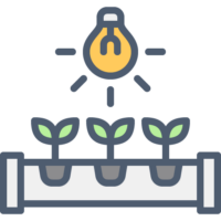 Grow Lights & Ballasts