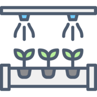 Pest & Disease Control