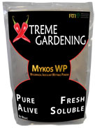 Neville's Haze (Feminised) Almost pure Haze Landrace 5 Seed