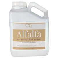 ALFALFA EXTRACT - YIELD 250ml