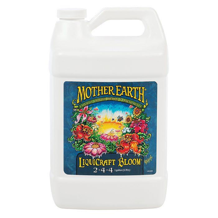 Mother Earth Organic Super Tea Bloom - Image 4