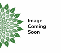 Impeller Replacement #3-5